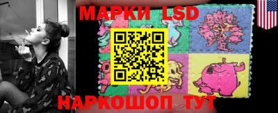 гидропоника Славгород